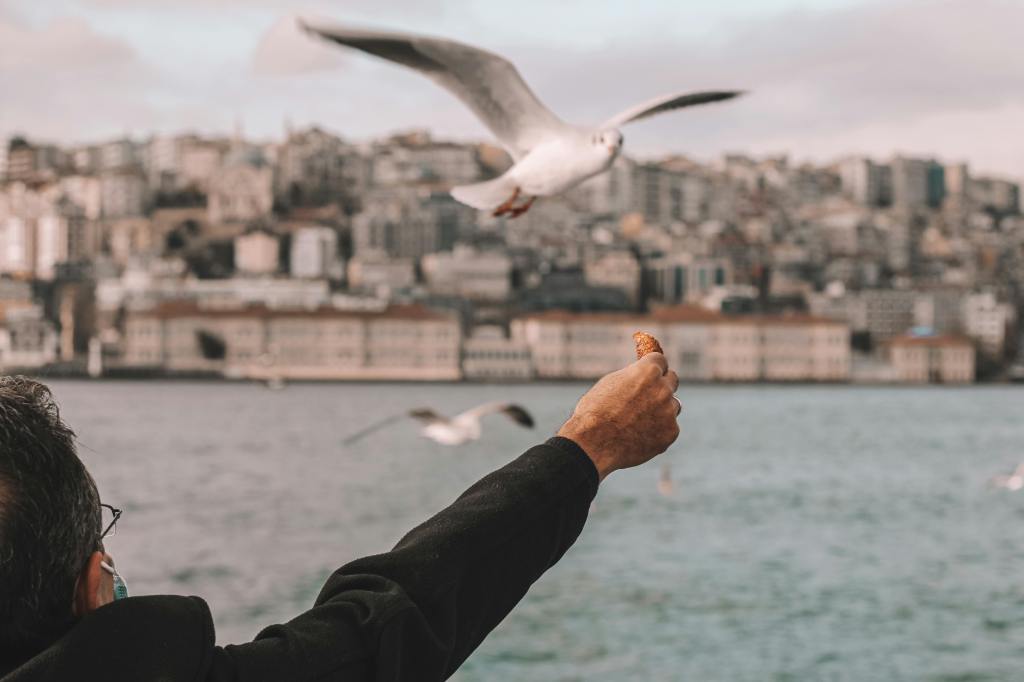 الانغماس في جمال الطبيعة يفتح أبواباً جديدة للتأمل والتفكّر